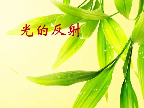 《光的反射》ppt优质课件教科版小学1
