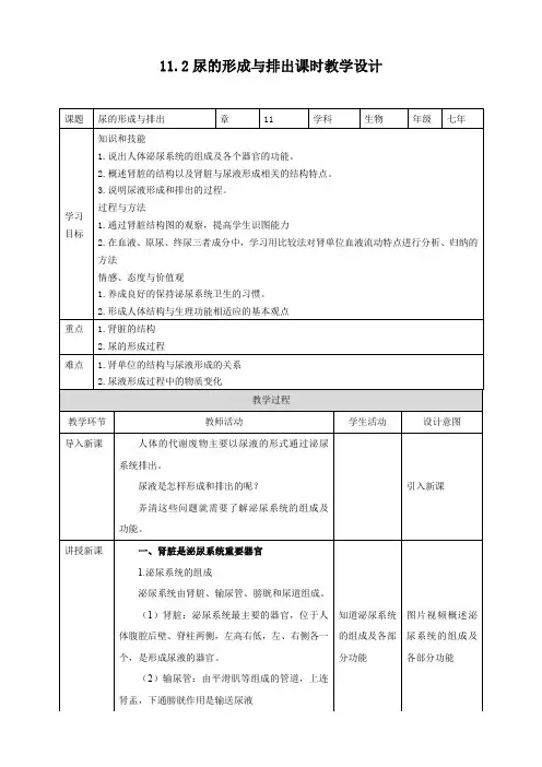 11.2 尿的形成与排出（教案）