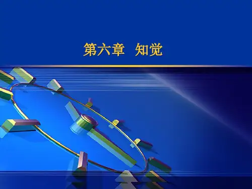 北大实验心理学朱滢版-第六章-知觉