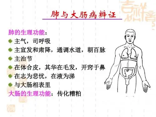 肺与大肠病辩证PPT课件