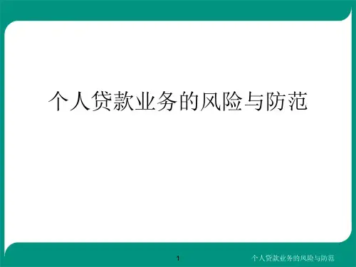 个人贷款业务的风险与防范
