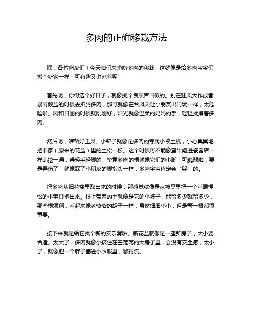 多肉的正确移栽方法