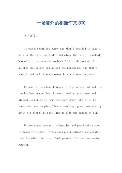 一场意外的相逢作文800