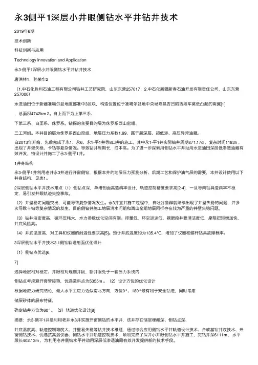 永3侧平1深层小井眼侧钻水平井钻井技术