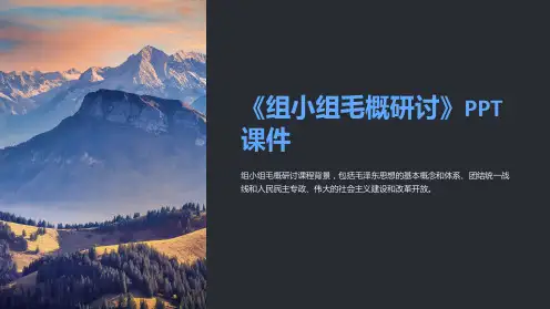 《组小组毛概研讨》课件