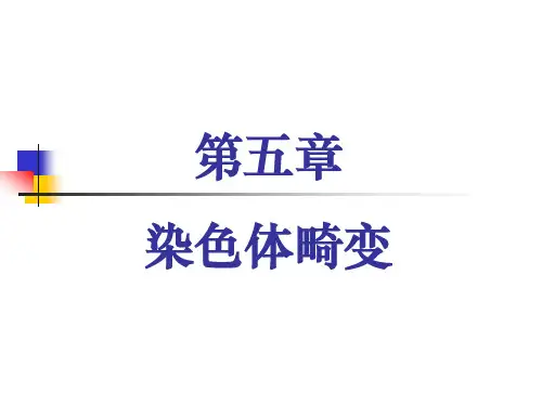20081027第六章-染色体畸变
