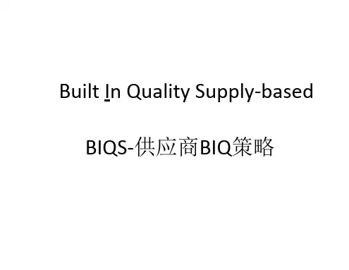 BIQS-供应商BIQ策略培训资料