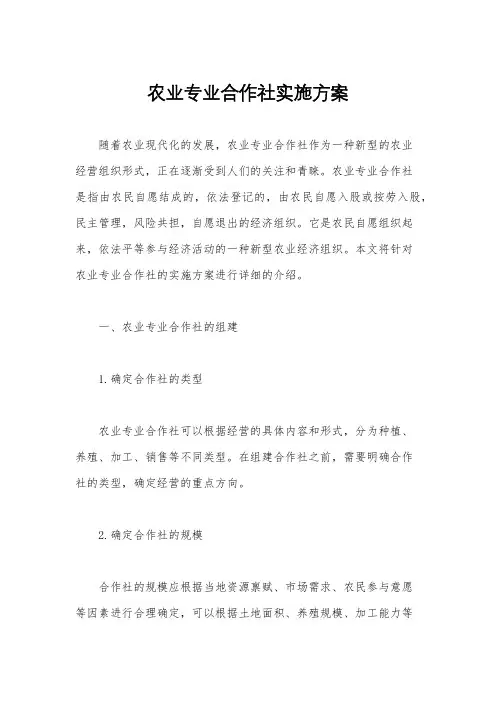 农业专业合作社实施方案