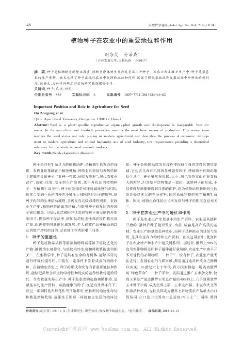 植物种子在农业中的重要地位和作用