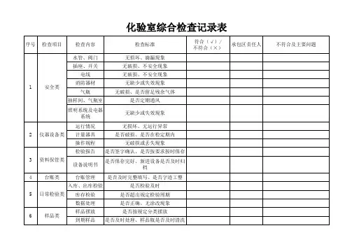 化验室综合检查记录表