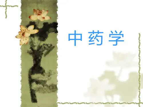 中药的起源和发展