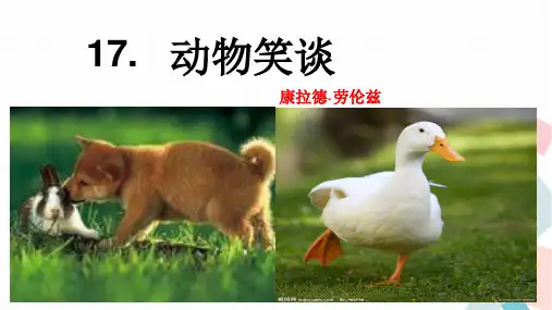 人教部编版七年级语文上册第17课《动物笑谈》优秀PPT教学课件 