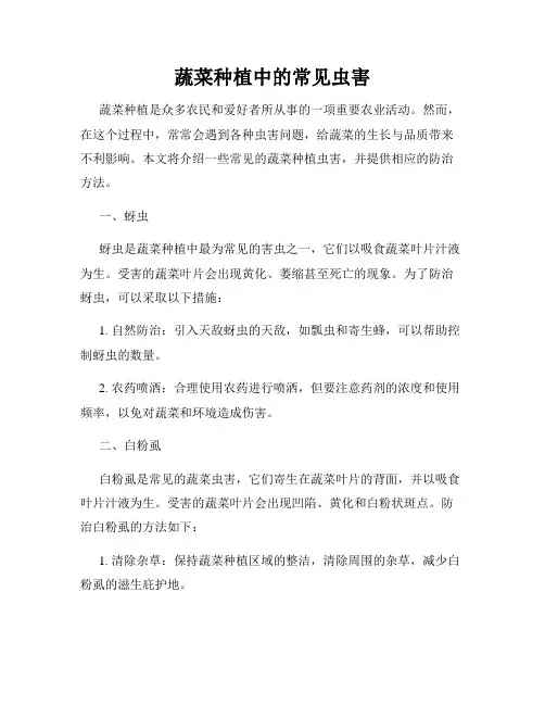 蔬菜种植中的常见虫害