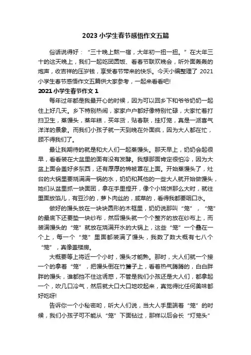 2023小学生春节感悟作文五篇