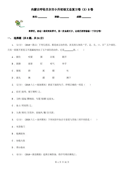 内蒙古呼伦贝尔市小升初语文总复习卷(3)B卷