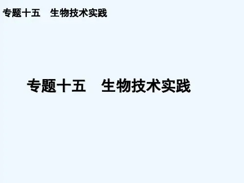 生物技术实践 PPT