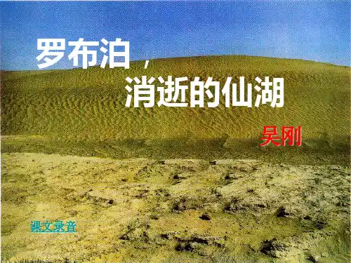 人教版八年级语文下册《三单元  阅读  12 .罗布泊,消逝的仙湖》示范课件_5