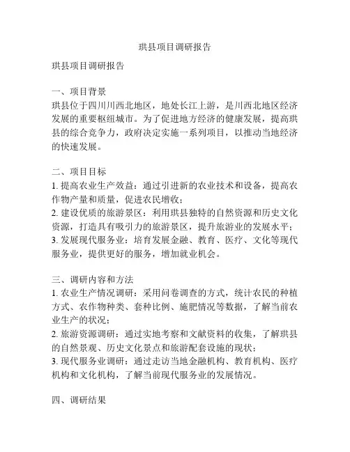 珙县项目调研报告