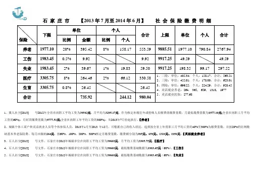 石家庄市2013社保缴费明细表
