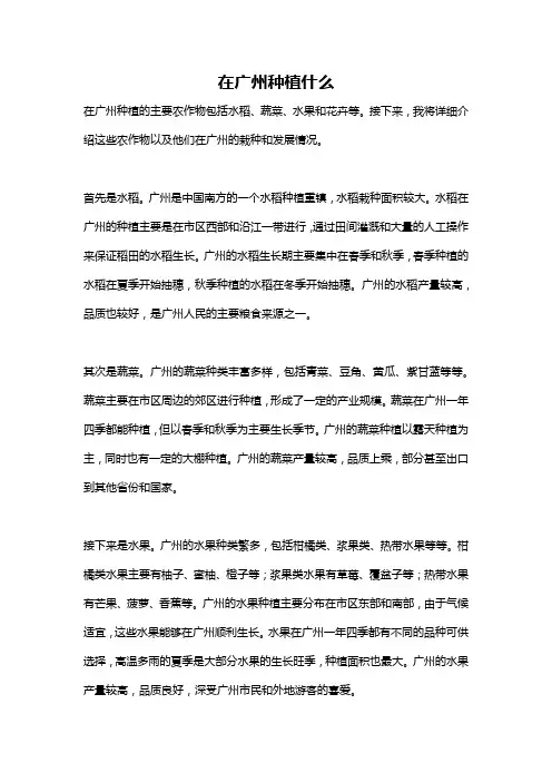 在广州种植什么