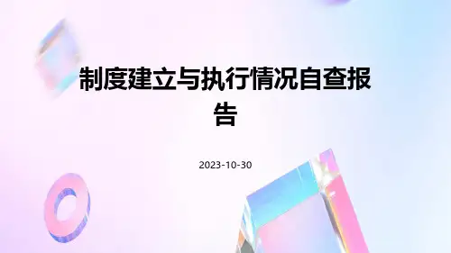 制度建立与执行情况自查报告