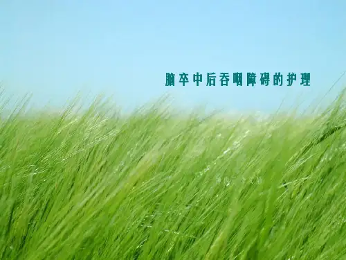 《吞咽训练》幻灯片PPT