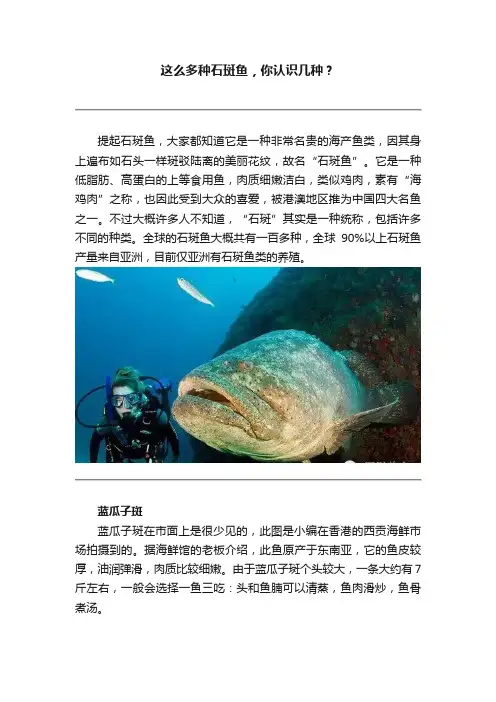 这么多种石斑鱼，你认识几种？