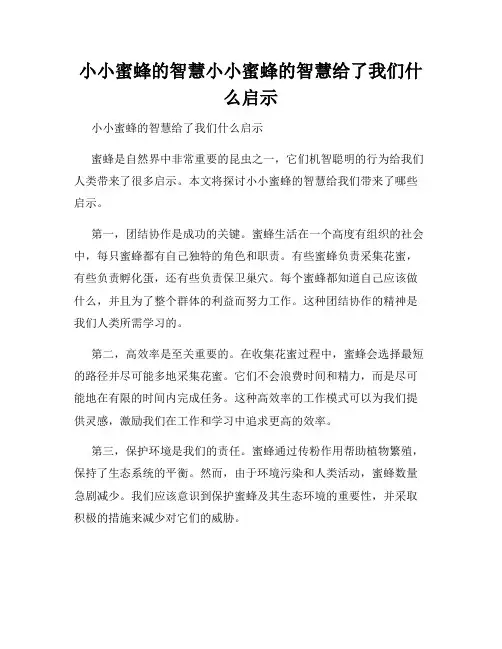 小小蜜蜂的智慧小小蜜蜂的智慧给了我们什么启示