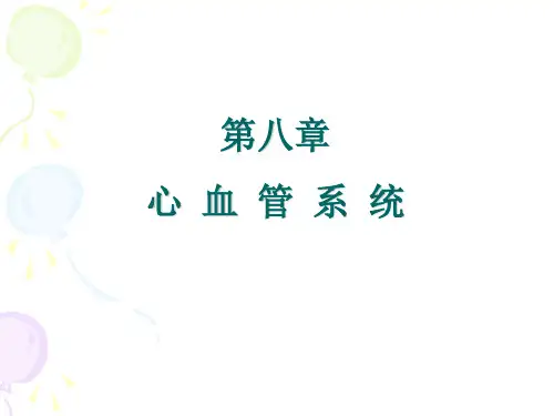 第八章 心血管系统