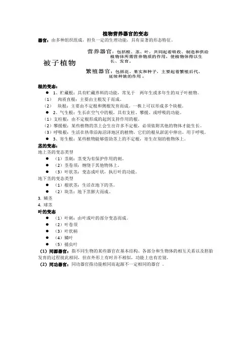 植物营养器官的变态