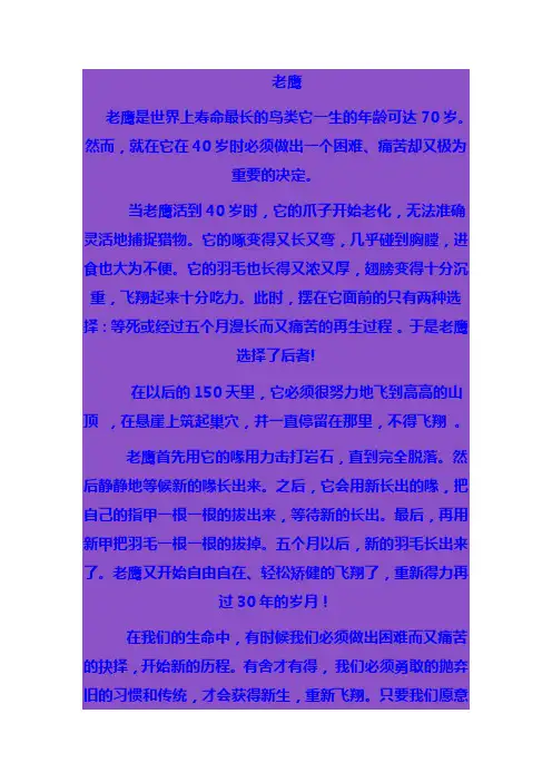老鹰