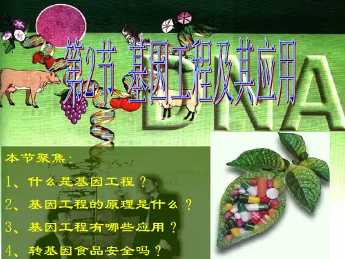 人教版基因工程及其应用-PPT