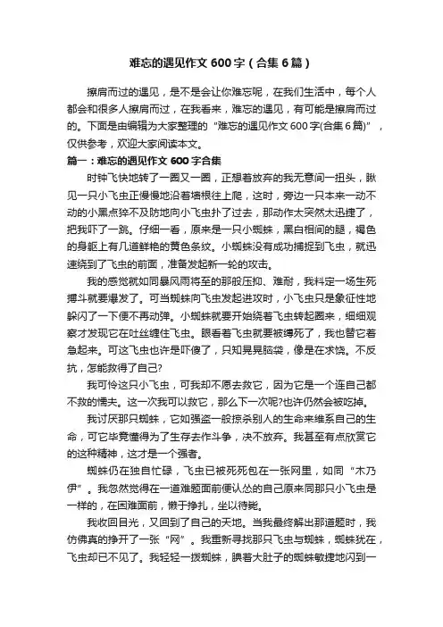 难忘的遇见作文600字（合集6篇）