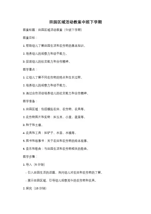 田园区域活动教案中班下学期