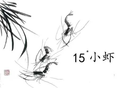 部编版三年级语文下册15.《小虾》课件(共16张PPT)