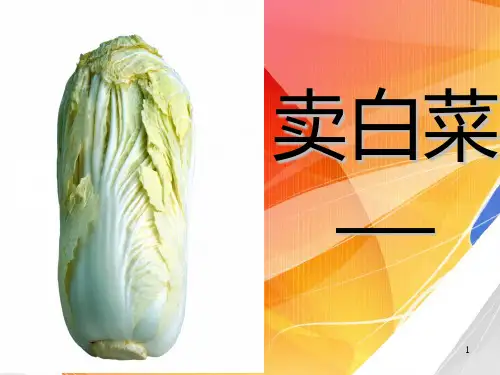 莫言《卖白菜》课件