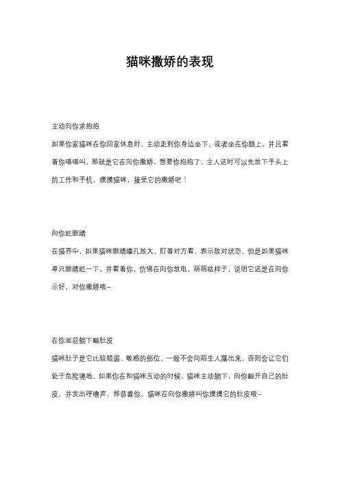 猫咪撒娇的表现