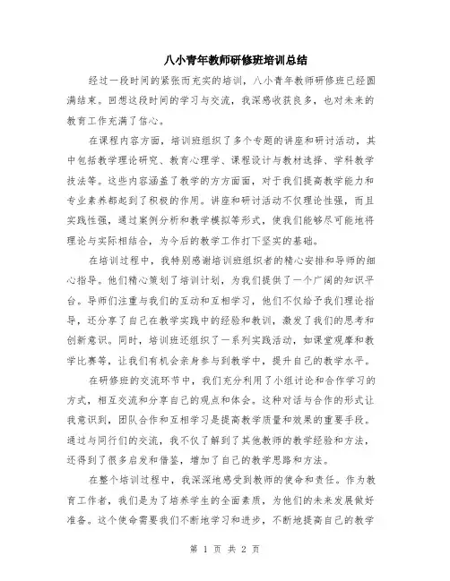 八小青年教师研修班培训总结