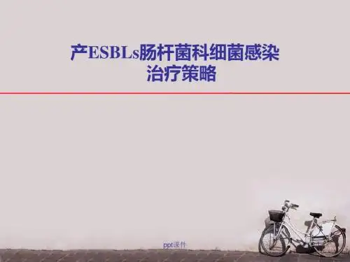 产ESBLs肠杆菌科细菌感染治疗策略  ppt课件