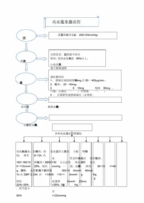 高血压危象应急流程.doc