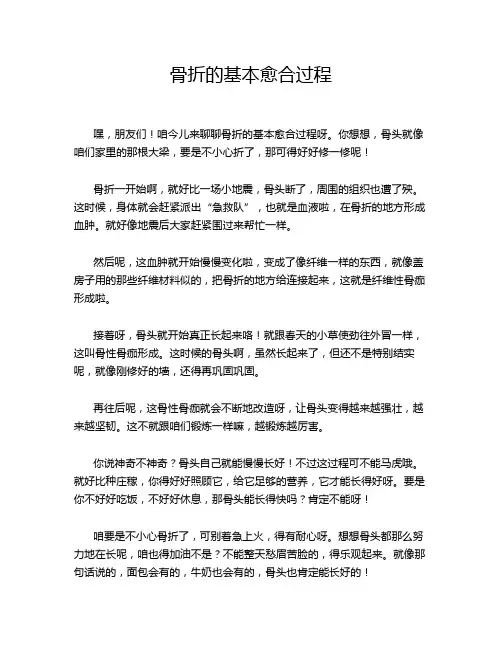 骨折的基本愈合过程