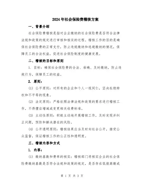 2024年社会保险费稽核方案
