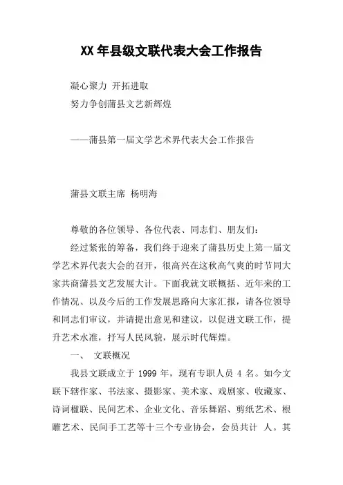 XX年县级文联代表大会工作报告