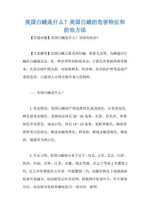 美国白蛾是什么？美国白蛾的危害特征和防治方法