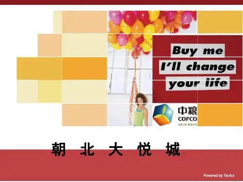 朝北大悦城推广方案