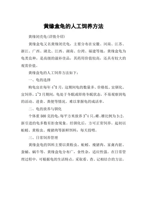 黄缘盒龟的人工饲养方法