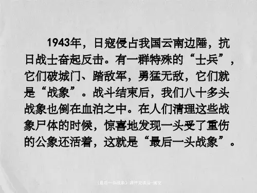 《最后一头战象》课件完美版-图文