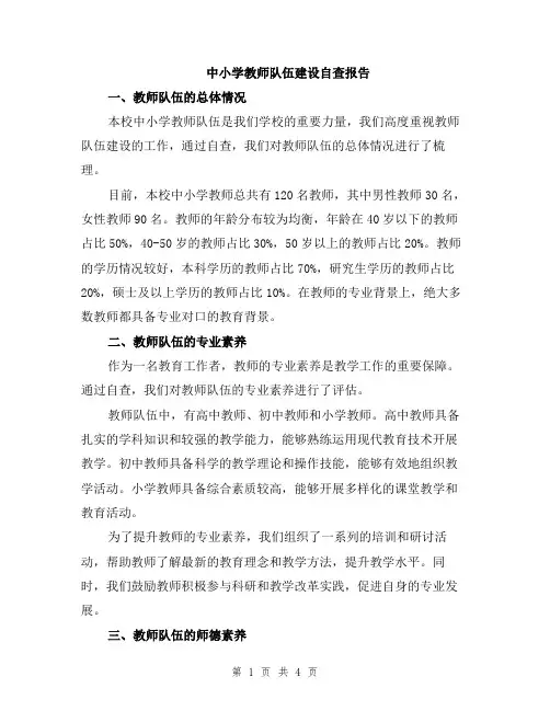 中小学教师队伍建设自查报告