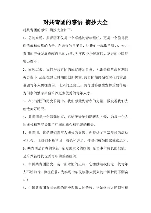对共青团的感悟 摘抄大全