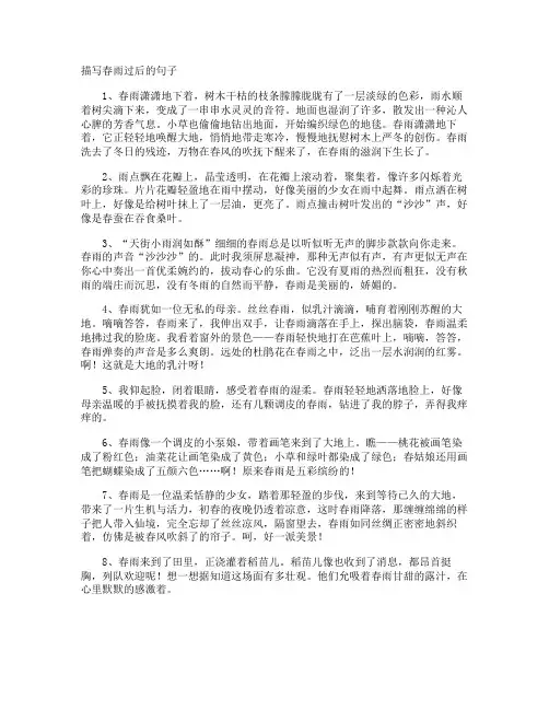 描写春雨过后的句子
